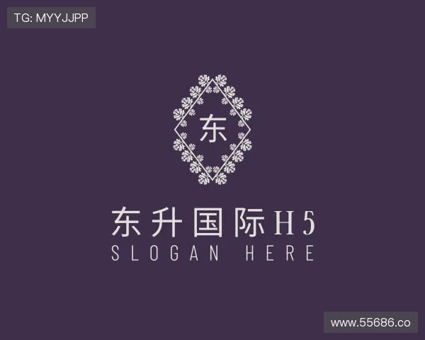 关于东升国际h5